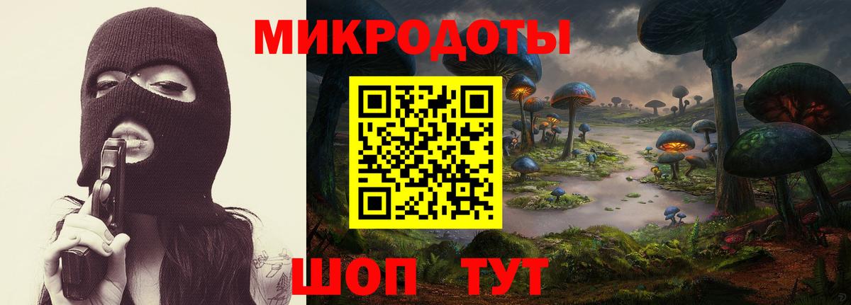 Галлюциногенные грибы Psilocybe Кимры