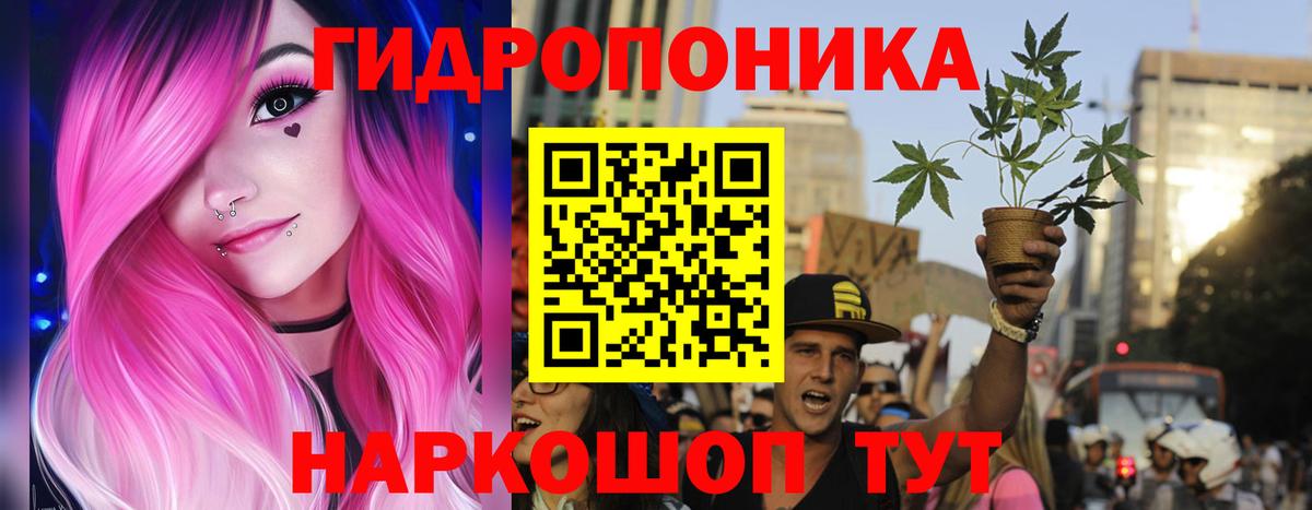 Каннабис SATIVA & INDICA Кимры